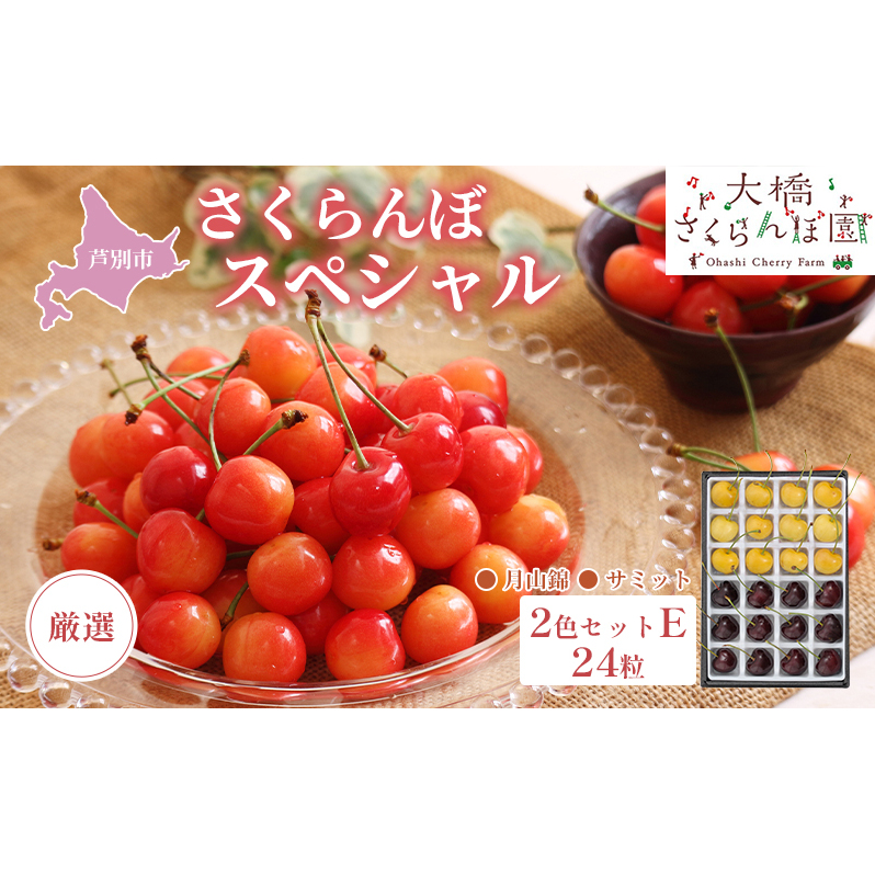 先行予約 厳選 さくらんぼ スペシャル 2色 セット E 24粒（黄・黒） 月山錦 サミット フルーツ 果物 季節のフルーツ 旬 旬のフルーツ 夏 化粧箱 ギフト 贈り物 贈答 プレゼント 冷蔵 冷蔵配送 北海道 芦別市　お届け：2025年7月中旬頃～