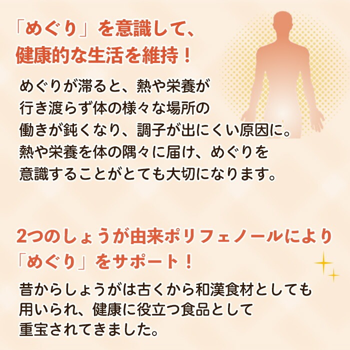 No.1296-B ＜定期便・全6回(隔月)＞ほっこりしょうが(1袋 31粒入り・2袋×6回)  鹿児島 日置市 健康食品 加工食品 サプリメント 栄養 食生活 安心安全 定期便 【てまひま堂】