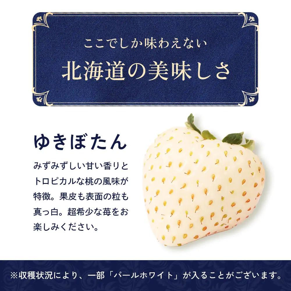 【2027年１月以降発送！】【北海道産】ゆきいちご（白いちご） 2Pセット 250g×2 計500g 苺 イチゴ 白いちご 一季成りイチゴ ゆきぼたん パールホワイト 希少 高級 ギフト お取り寄せ 