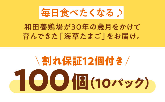 平飼い 海草たまご 10パック（100個入り）割れ保証あり 愛媛県大洲市/和田養鶏場 卵 たまご 鶏卵 卵料理 玉子 [AGDQ004]