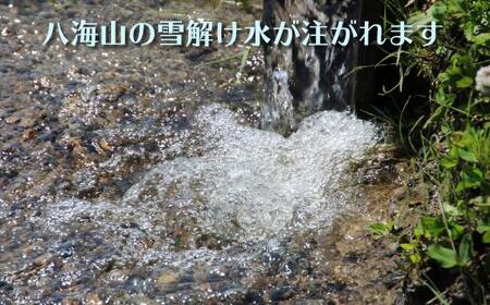 南魚沼産コシヒカリ　八富米　農薬7割減の特別栽培米　八海山の雪解け水が育むお米　無洗米５ｋｇ