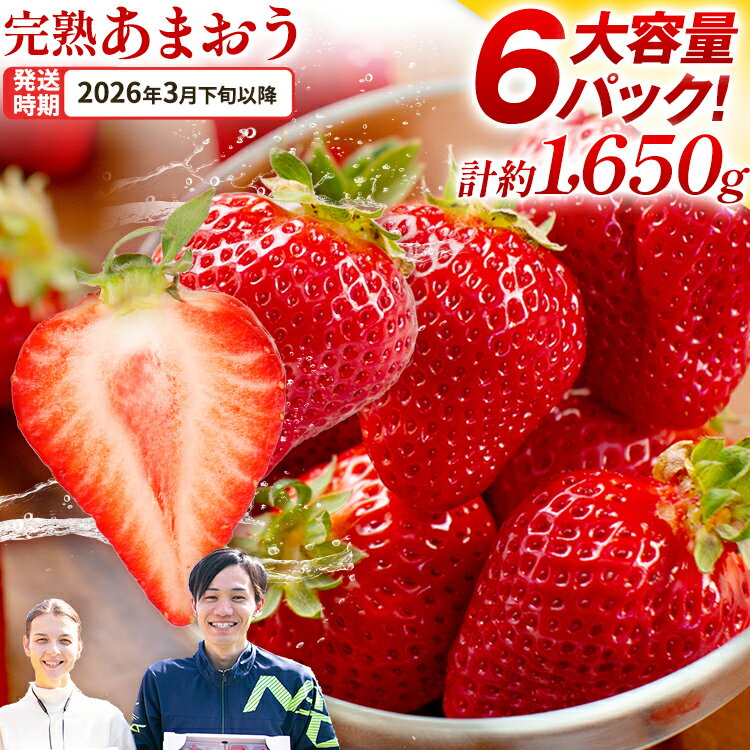 【ふるさと納税】あまおう 約1650g（約275g×6パック） 【先行受付／2026年3月下旬以降順次発送予定】いちご 苺 福岡高級 フルーツ お取り寄せ ご当地グルメ 福岡土産 取り寄せ グルメ 福岡県 食品 社会福祉法人 猪位金福祉会