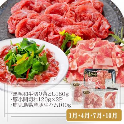 ふるさと納税 枕崎市 定期便3回配送　お楽しみバラエティー　OO-0004 |  | 01