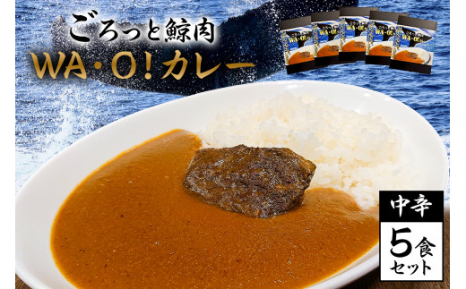 
道の駅和田浦WA・O！ごろっと鯨肉　WA・O!カレー　中辛5食セット mi0016-0001
