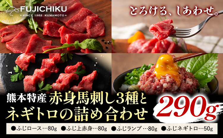 馬刺し 熊本県産 赤身 馬刺し 3種 ネギトロ 詰め合わせ 亀井通産株式会社《30日以内に出荷予定(土日祝除く)》 熊本県 菊池市肉 馬肉 国産 赤身 上赤身 ロース ランプ 馬 ふじ馬刺し セット 食べ比べ