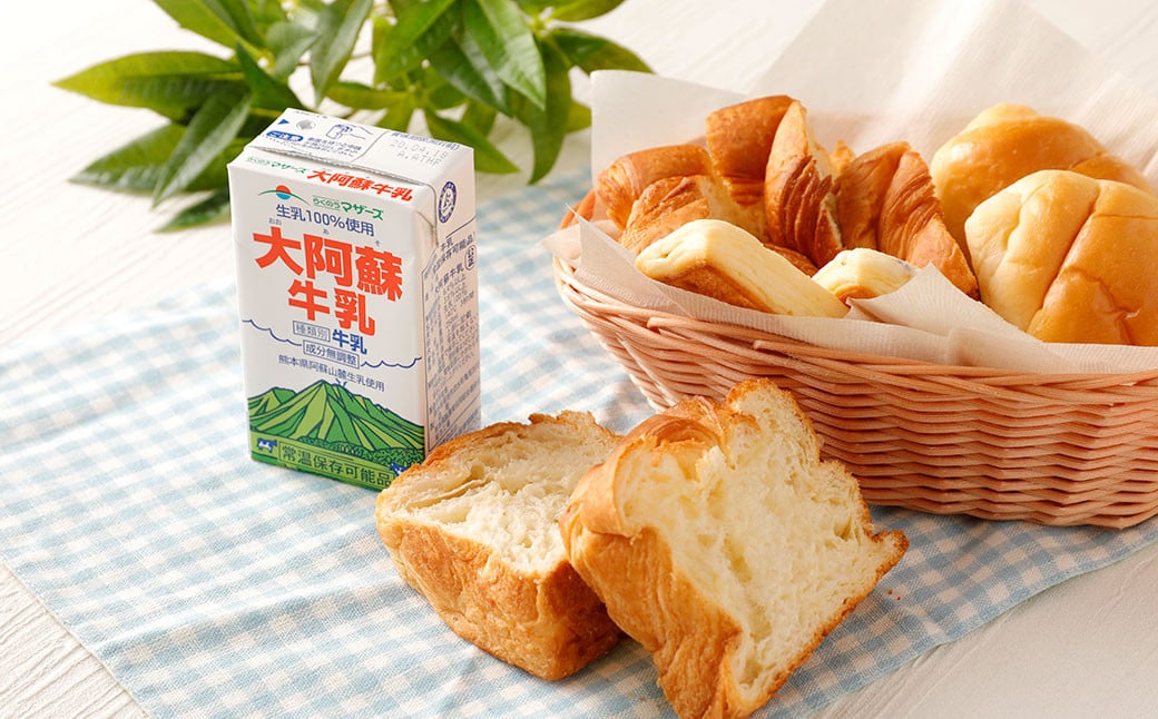 【12ヶ月定期便】大阿蘇 牛乳 250ml×24本×12回 合計72L 紙パック ミルク 成分無調整