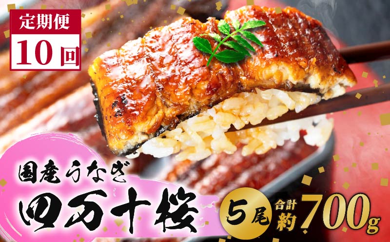 【贈答用】【10回定期便】極上国産うなぎ四万十桜　蒲焼き約140g×5尾|うなぎ 鰻 蒲焼き 定期便 国産 四万十鰻 白焼き 調理済み タレ付き 頒布会 ギフト（お歳暮/お正月）高級 お取り寄せ グルメ 食べ比べ 冷凍