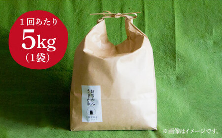 【全12回定期便】【令和6年度産】おぢかんうまか米（小値賀町産こしひかり 約5kg ・精白米）総計60kg  [DAB017] コシヒカリ こしひかり 米 お米 白米 ご飯 精米 お弁当  常温 [D