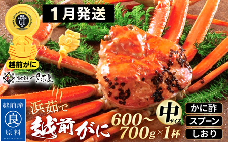越前がに本場の越前町からお届け！浜茹で 越前がに 中サイズ（生で600～700g） × 1杯 かに酢 食べ方しおり スプーン付き【かに カニ 蟹 雄 ズワイガニ ずわいがに 姿 ボイル 福井県 冷蔵】【1月発送分】希望日指定可 備考欄に希望日をご記入ください [e04-x029_01]