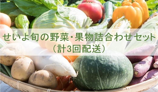 ＜西予市 旬の野菜・果物詰合せセット 月1回3か月（計3回配送）＞ 詰め合わせ つめあわせ セット 旬 青果 フルーツ くだもの やさい 果物セット 野菜セット 季節 産地直送 定期便 どんぶり館 特産品 愛媛県 西予市