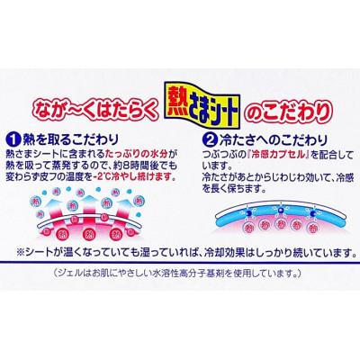 ふるさと納税 新居浜市 小林製薬の熱さまシート 大人用 16枚×5箱セット 打ち身 暑さ対策などに |  | 01