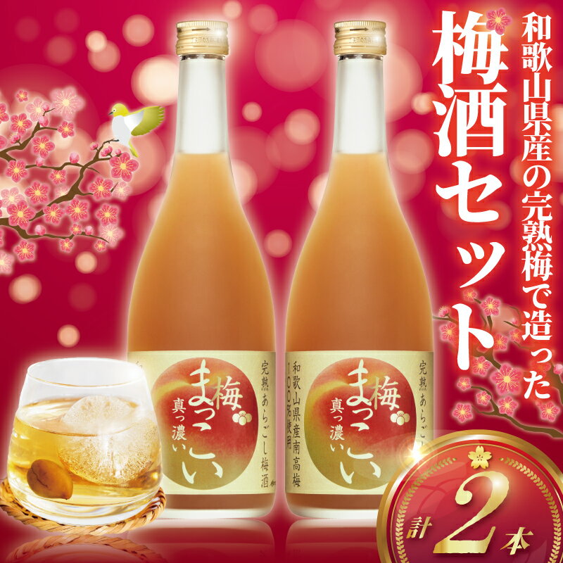 【ふるさと納税】 メルシャン 完熟梅「 完熟 あらごし 梅酒 」 2本 セット 詰合せ 梅 うめ ume うめしゅ 梅酒梅 和歌山県産 完熟南高梅 瓶 フルーツ フルーティ あらごし ピューレ おすすめ おいしい 口当たり 濃 お酒 アルコール お酒 さけ 10000円 1万円 神奈川 湘南 藤沢