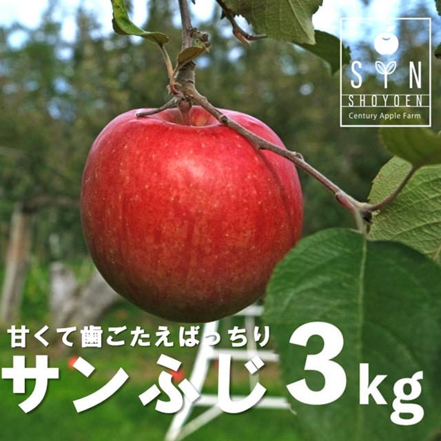 松陽園 樹上 完熟 りんご サンふじ 3kg 7個～9個 先行予約 11月下旬発送 林檎 リンゴ フルーツ 果物 果実 岩手県 遠野市 産 贈答 ギフト プレゼント 農家直送 産地直送