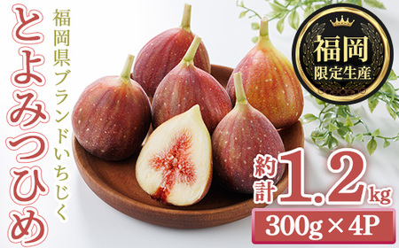 福岡県ブランドいちじく博多 とよみつひめ (計約1.2kg・300g×4P) いちじく イチジク フルーツ 果物 くだもの 福岡限定 ＜離島配送不可＞ 【ksg1750】【農産物直売所ほたるの里】
