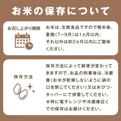 ふるさと納税 浜田市 【毎月定期便】石見産きぬむすめ　10kg(5kg×2袋)全6回 |  | 03