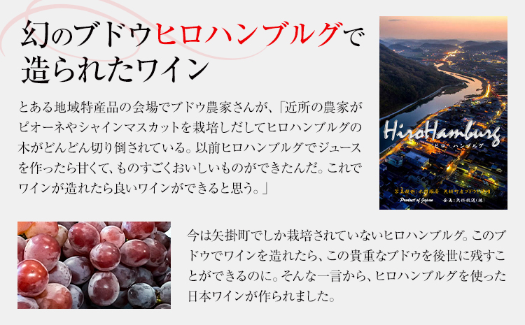 酒 日本ワイン 720ml 1本 矢掛放送 岡山県矢掛町《30日以内に出荷予定(土日祝除く)》 酒 ワイン 国産 ヒロハンブルグ 赤ワイン 国産 ブドウ---osy_cyhwine_30d_25_37