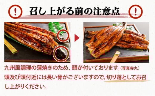 うなぎ人気ランキングの常連！国産うなぎ蒲焼