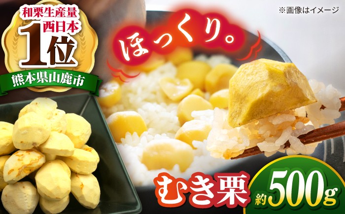 
                   むき栗 約500ｇ（約250g×2pc）【すみれファーム】 栗 くり むきぐり 熊本 熊本県産 山鹿 九州産 国産 和栗 マロン  栗ご飯 栗きんとん モンブラン 甘露煮 渋皮煮 お取り寄せ [ZEP059]
                