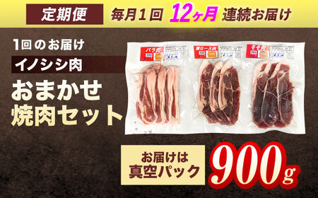 【12回定期便】天然イノシシ肉 おまかせ焼肉セット 900g (ロース・モモ・バラ) / ジビエ 猪肉 いのしし肉 ジビエ肉 肉じゃが用肉 イノシシ いのしし焼肉 長崎ジビエ 猪 ぼたん鍋 鍋肉 猪鍋