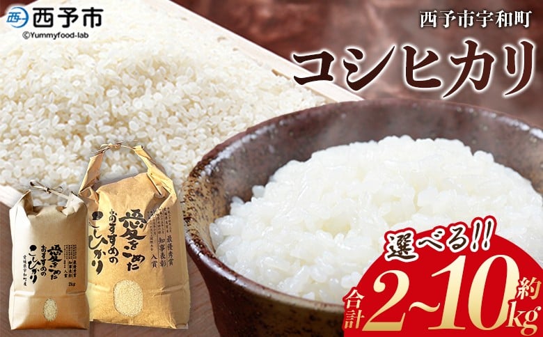 
            新米＜令和7年産 西予市宇和町産 コシヒカリ 約2kg/5kg/10kg＞ お米 コメ こめ 白米 精米 単一原料米 ご飯 白飯 ごはん 穀物 コシヒカリ こしひかり 朝食 特産品 愛媛県産 西予市産 宇和町産 三好フク【常温】
          