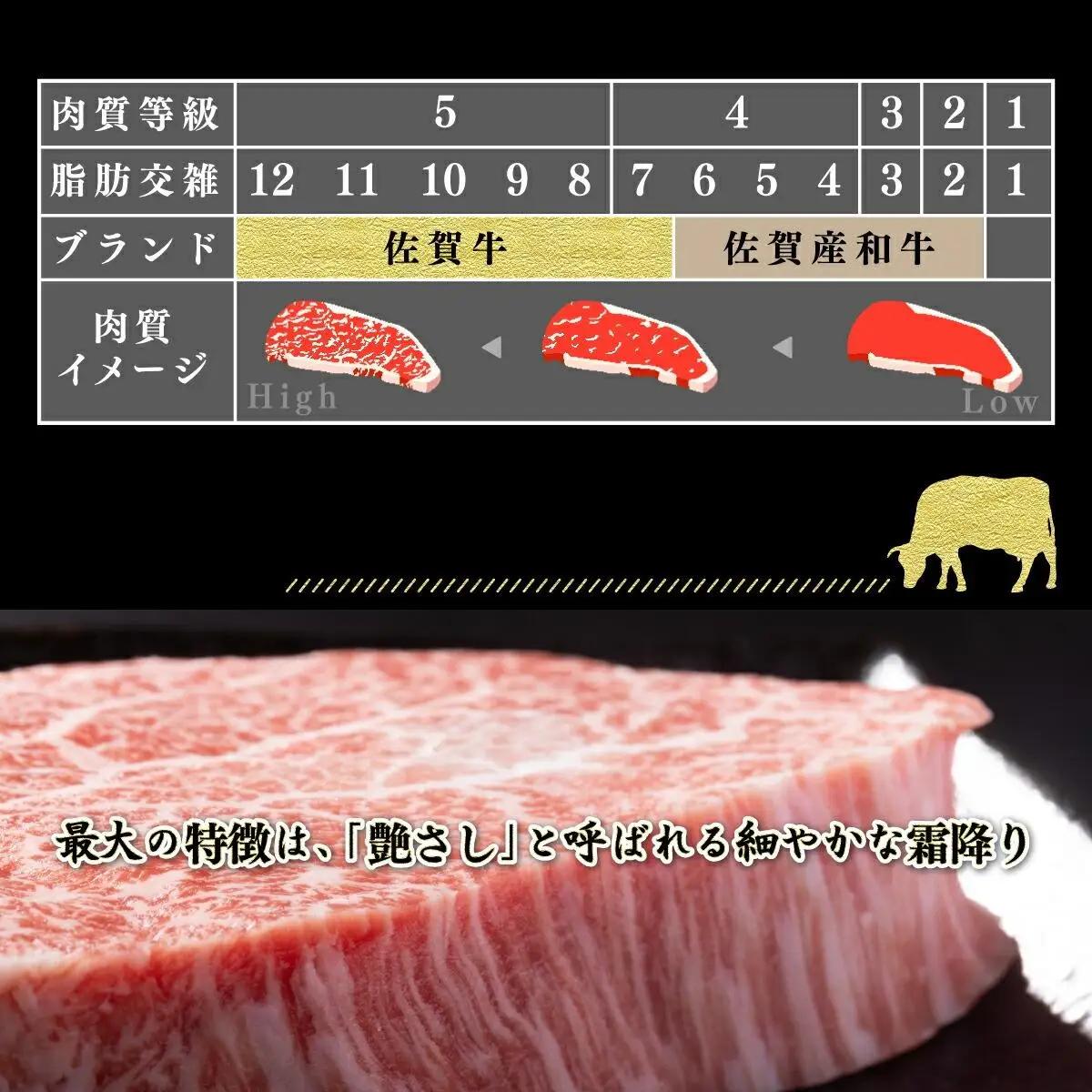 200g×5枚 佐賀牛｢ヒレステーキ｣ N-101