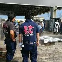 目鉢鮪頭 の 希少部位 刺身用 ＋ 目鉢鮪カマ 1kg M007-004 冷凍 マグロ