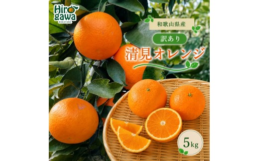
                  清見 訳あり 5kg / 和歌山 有田 広川 清見 オレンジ きよみ 柑橘 果物 くだもの ギフト フルーツ 果実 ※2027年3月上旬～3月下旬頃に順次発送予定【hkt011-c-5】
                