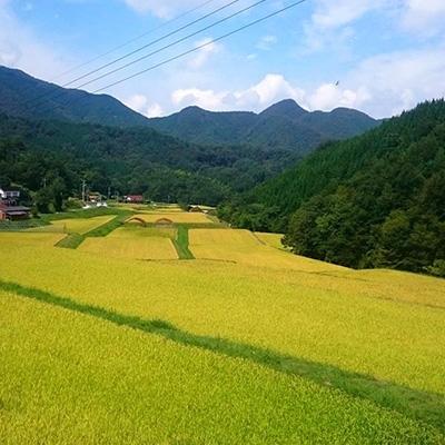 ふるさと納税 雲南市 令和7年産・神話の里/島根県雲南市吉田町「うやま米」コシヒカリ10kg(2kg×5) |  | 02
