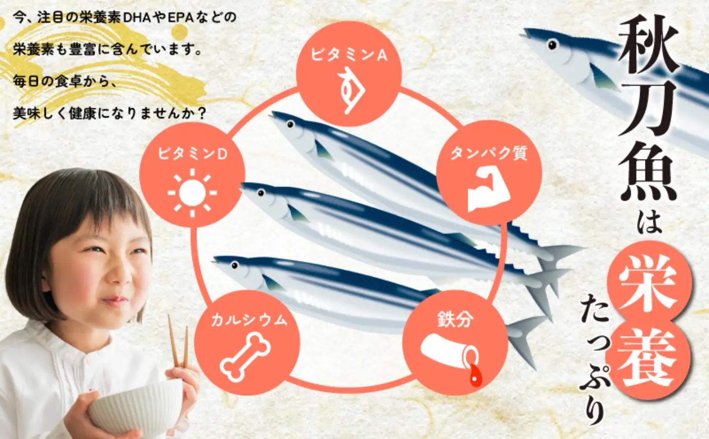 【訳あり】 さんま 40枚 さんま