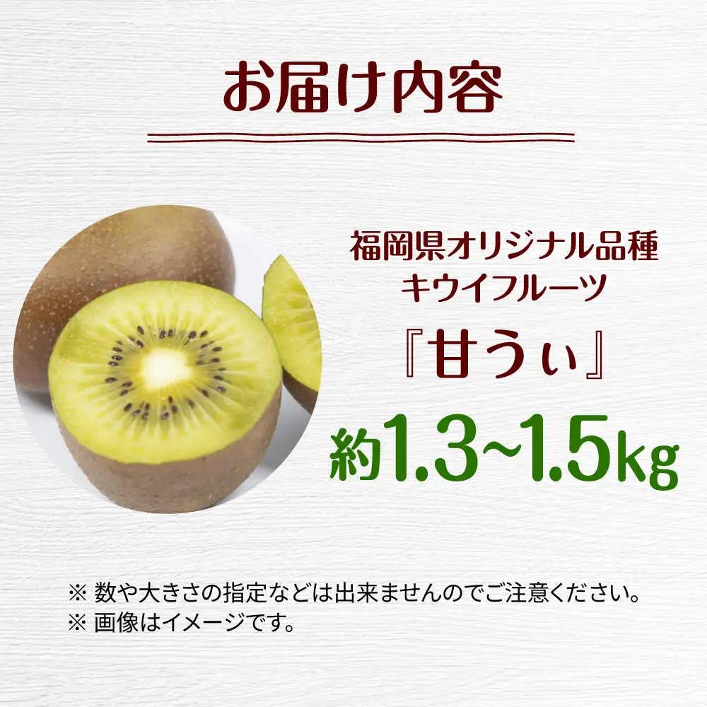 福岡限定品種キウイ「甘うぃ」約1.3kg-約1.5kg／2026年11月頃より発送予定 桂川町/一般社団法人地域商社ふるさぽ[ADCF013]