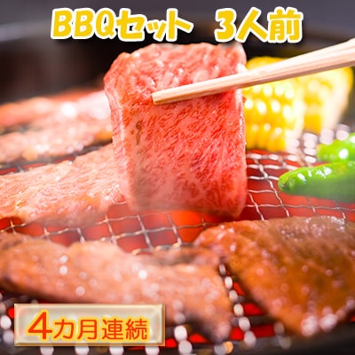 【4カ月連続】ハッピー!BBQセット　～焼肉5種　3人前コース～[No.5217-0117]