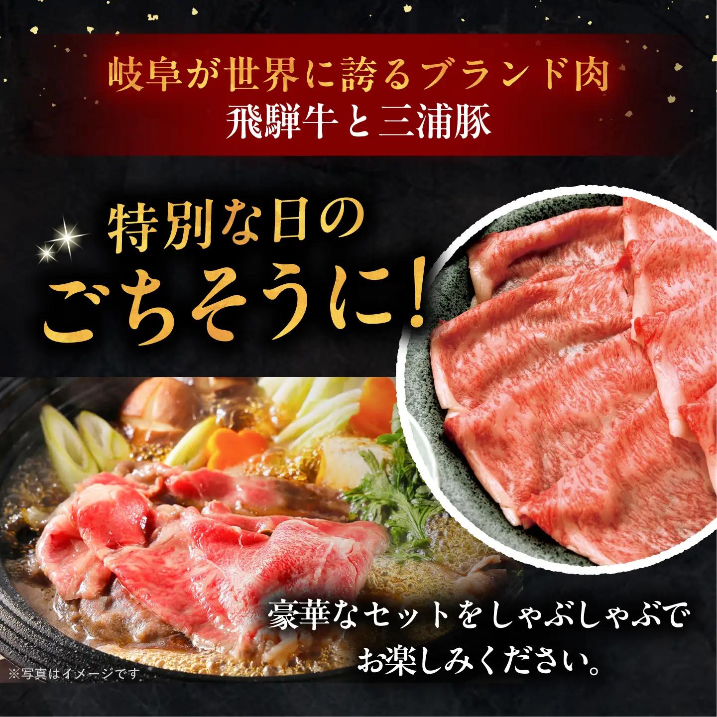 【3回定期便】 飛騨牛ロース1kg カルビ700g 三浦豚ロース900g 豪華3点セット 各種類1パック しゃぶしゃぶ・焼肉 / 恵那市 / 岩島屋 [AUAJ030]