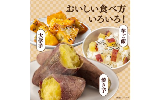 紅はるか【訳あり】長期熟成のさつまいも 10kg 扇屋商店｜紅はるか  国産 サツマイモ 薩摩芋 さつま芋 10kg ポテト 焼いも 焼き芋 焼芋 無添加 おやつ 自然食品 ねっとり 甘い 自然甘味 