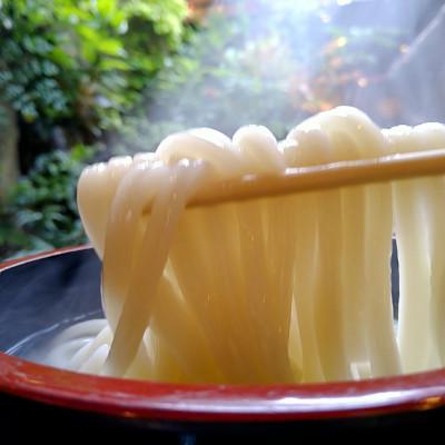 ふるさと納税 琴平町 四国こんぴら本場讃岐うどん食べ比べセット20人前(冬用)