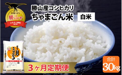 【令和7年産 新米】【定期便3回】勝山のお米 コシヒカリ 精米 10kg（計30kg） [I-010022]
