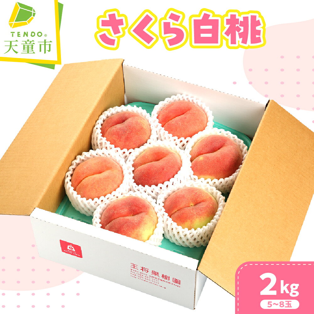 【ふるさと納税】 もも ( さくら白桃 ) 2kg 桃 モモ 白桃 果物 くだもの フルーツ 山形 お取り寄せ 産地直送 送料無料【 山形県 天童市 】