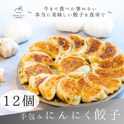 ふるさと納税 草津市 手包みにんにく餃子　12個入り