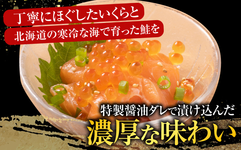 【北海道根室産】<鮭匠ふじい>いくら・サーモン親子丼の具 C-42012
