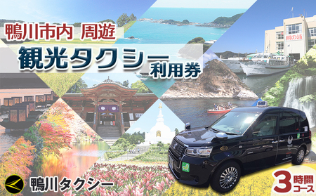 【千葉県鴨川市】観光タクシー貸切利用券 ３時間（定員４名／１台）　[0081-0001]