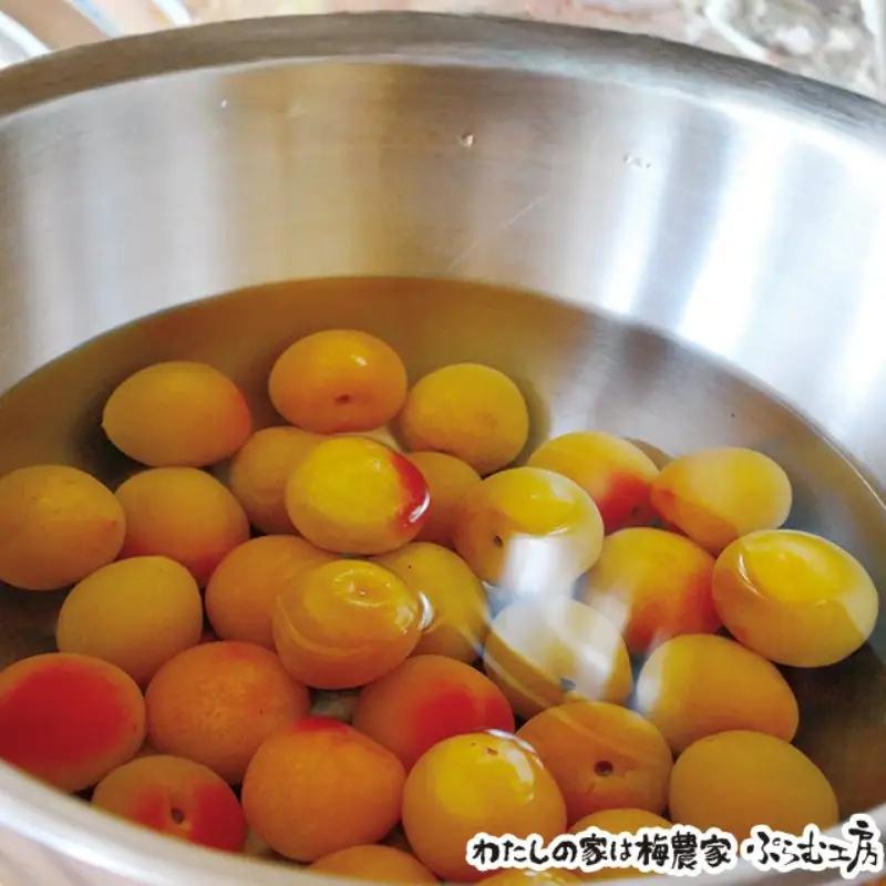梅ジャムづくり体験ペアチケット iwasho010A【iwasho010A】