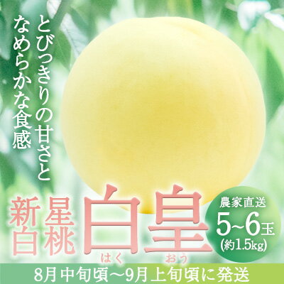【ふるさと納税】固めの 桃 2025年 先行予約 白桃 白皇 (はくおう) 5～6玉入り(約1.5kg) 贈答用 もも モモ 岡山県 赤磐市産 国産 フルーツ 果物 ギフト 　お届け：2025年8月中旬～2025年9月上旬