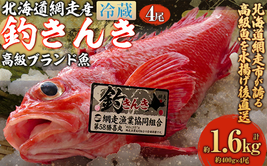 【先行予約】【網走産】高級ブランド釣きんき 4尾【冷蔵】【2026年5月15日以降順次発送予定】 ABJ018