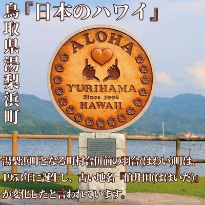 ふるさと納税 湯梨浜町 YURIHAMA PEAR KA'U COFFEE 4オンス(370K.) |  | 01