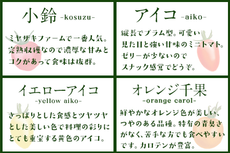 「ミヤザキファーム」 宝石とまと約1.2kg 熊本県氷川町産《2月上旬-6月末頃出荷》 小鈴 アイコ イエローアイコ オレンジ千果 みどりちゃん セレブスイート グリーンゼブラ 桃太郎ゴールド トスカ