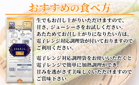 とうもろこし 富良野産 ホワイトコーン【12〜14本 計4.2kg以上】【先行予約】