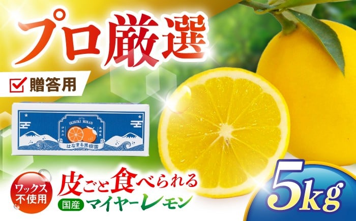 レモン れもん 檸檬 果汁 柑橘 フルーツ ふるーつ 果物 くだもの レモンサワー レモンケーキ レモンティー レモネード