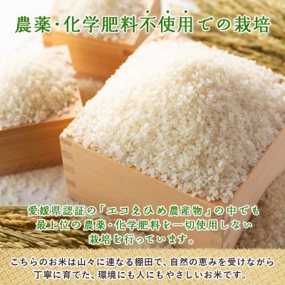 ふるさと納税 西予市 新米<令和7年産 西予市産 特別栽培米 エコえひめ コシヒカリ 玄米 約3kg>国産 |  | 03