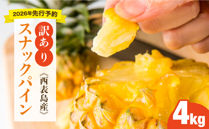 【訳あり】大きさ不揃い　お得！箱にいっぱいスナックパイン4㎏セット