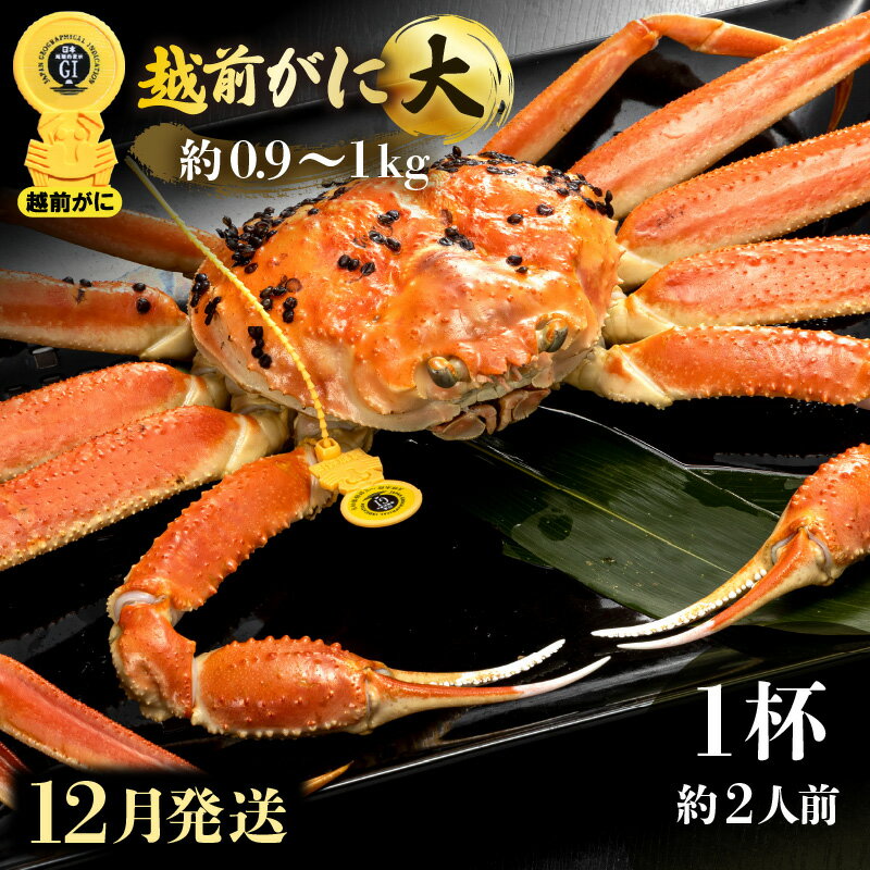 【ふるさと納税】≪浜茹で≫越前がに 大サイズ（生で約0.9〜1kg） × 1杯 約2人前 食べ応えあり！【雄 ズワイガニ 越前ガニ 姿 ボイル 冷蔵 かに カニ 蟹 福井県】【12月発送分】希望日指定可 備考欄に希望日をご記入ください [e49-x002_12]
