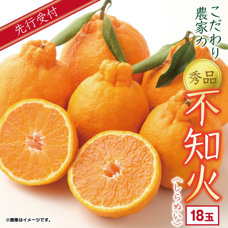 【ふるさと納税】 こだわり農家の 秀品 不知火 18玉 蜜柑 みかん ミカン 果物 フルーツ ギフト 贈り物 プレゼント 柑橘 くだもの 長崎県 長崎市 青果 濃厚 甘い 柑橘類 贈答 県産 送料無料 【2026年4月上旬より発送開始予定】